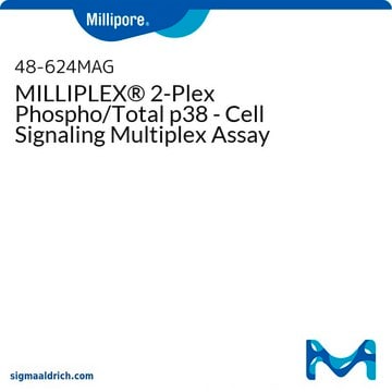 Saggio multiplex MILLIPLEX&#174; Phospho/Total p38 2-Plex per studi di segnalazione cellulare