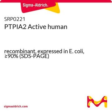 PTPIA2 Active human recombinant, expressed in E. coli, &#8805;90% (SDS-PAGE)