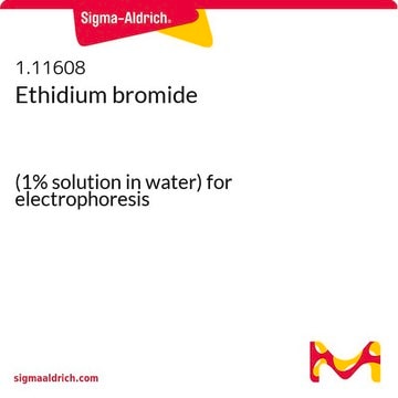 Ethidium bromide (1% solution in water) for electrophoresis