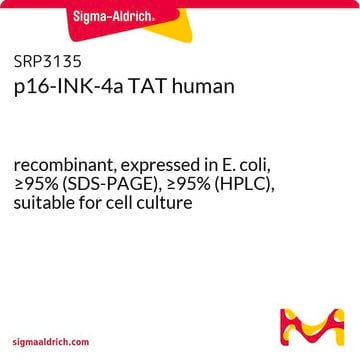 p16-INK-4a TAT human recombinant, expressed in E. coli, &#8805;95% (SDS-PAGE), &#8805;95% (HPLC), suitable for cell culture