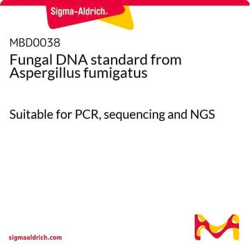 Fungal DNA standard from Aspergillus fumigatus Suitable for PCR, sequencing and NGS