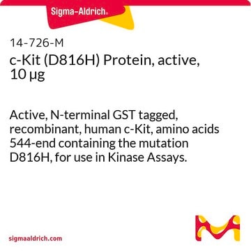 c-Kit (D816H) Protein, active, 10 &#181;g Active, N-terminal GST tagged, recombinant, human c-Kit, amino acids 544-end containing the mutation D816H, for use in Kinase Assays.