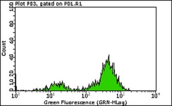 Milli-Mark&#174; Anti-CD5-FITC Antibody, clone DK23 clone DK23, Milli-Mark&#174;, from mouse