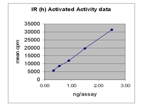 Insulin Receptor, activated, 10 &#181;g Autoactivated on column by incubating with Mg/ATP, excess ATP &amp; MgAc removed by multiple column wash steps.