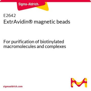 ExtrAvidin&#174; magnetic beads For purification of biotinylated macromolecules and complexes