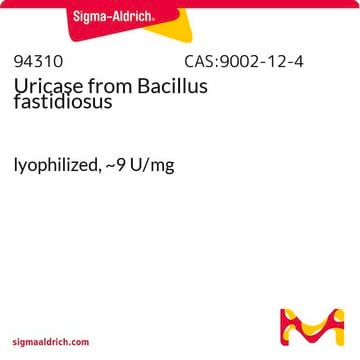 Uricase aus Bacillus fastidiosus lyophilized, ~9&#160;U/mg