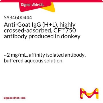 Anti-Goat IgG (H+L), highly crossed-adsorbed, CF&#8482;750 antibody produced in donkey ~2&#160;mg/mL, affinity isolated antibody, buffered aqueous solution