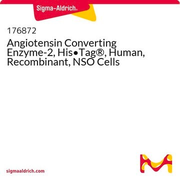 Angiotensin Converting Enzyme-2, His&#8226;Tag&#174;, Human, Recombinant, NSO Cells