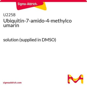 Ubiquitin-7-amido-4-methylcoumarin solution (supplied in DMSO)