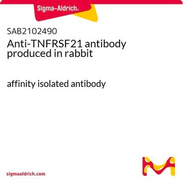 Anti-TNFRSF21 antibody produced in rabbit affinity isolated antibody