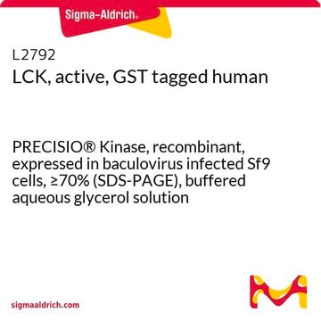 LCK, active, GST tagged human PRECISIO&#174; Kinase, recombinant, expressed in baculovirus infected Sf9 cells, &#8805;70% (SDS-PAGE), buffered aqueous glycerol solution