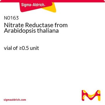 Nitrate Reductase from Arabidopsis thaliana vial of &#8805;0.5&#160;unit