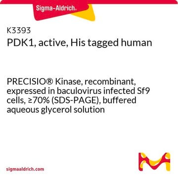 PDK1, active, His tagged human PRECISIO&#174; Kinase, recombinant, expressed in baculovirus infected Sf9 cells, &#8805;70% (SDS-PAGE), buffered aqueous glycerol solution