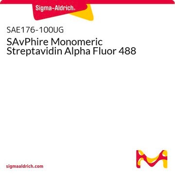 SAvPhire Monomeric Streptavidin Alpha Fluor 488