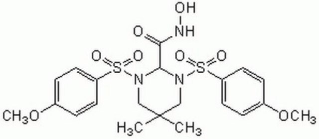 MMP Inhibitor II The MMP Inhibitor II, also referenced under CAS 203915-59-7, controls the biological activity of MMP. This small molecule/inhibitor is primarily used for Protease Inhibitors applications.