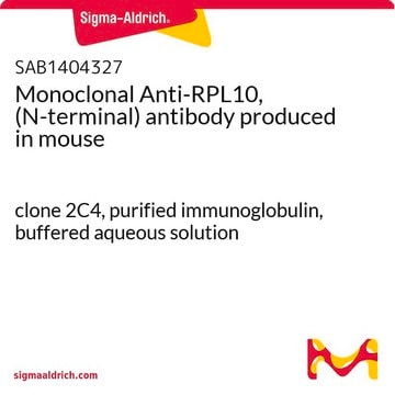 Monoclonal Anti-RPL10, (N-terminal) antibody produced in mouse clone 2C4, purified immunoglobulin, buffered aqueous solution