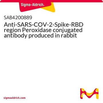 Anti-SARS-COV-2-Spike-RBD region Peroxidase conjugated antibody produced in rabbit