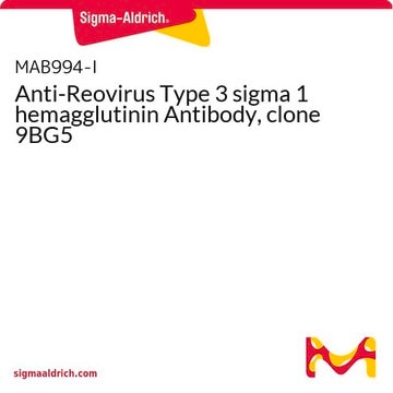 Anti-Reovirus Type 3 sigma 1 hemagglutinin Antibody, clone 9BG5