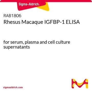 恒河猴IGFBP-1 ELISA for serum, plasma and cell culture supernatants