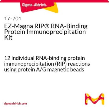 EZ-Magna RIP&#174; RNA-Binding Protein Immunoprecipitation Kit 12 individual RNA-binding protein immunoprecipitation (RIP) reactions using protein A/G magnetic beads