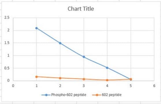 Anti-phospho-eNOS (Ser602) from rabbit