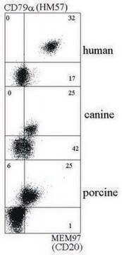 Monoclonal Anti-CD20, azide free antibody produced in mouse clone MEM-97, purified immunoglobulin, buffered aqueous solution