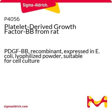 Platelet-Derived Growth Factor-BB from rat PDGF-BB, recombinant, expressed in E. coli, lyophilized powder, suitable for cell culture