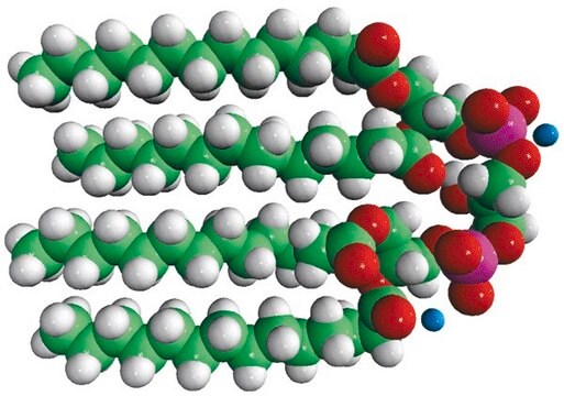 14:0 Cardiolipin (ammonium salt) 1&#8242;,3&#8242;-bis[1,2-dimyristoyl-sn-glycero-3-phospho]-glycerol (ammonium salt), chloroform