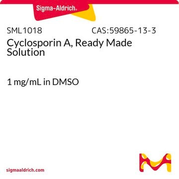 环孢素A，即用型溶液 1&#160;mg/mL in DMSO