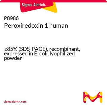 Peroxiredoxin 1 human &#8805;85% (SDS-PAGE), recombinant, expressed in E. coli, lyophilized powder