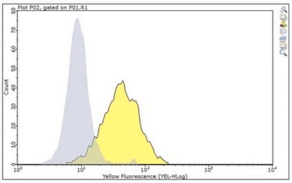 Anti-FcRH5 Antibody, clone F56 clone F56, from mouse