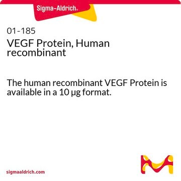 Protéine VEGF, recombinante humaine The human recombinant VEGF Protein is available in a 10 &#181;g format.