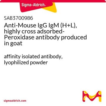 Anti-Mouse IgG IgM (H+L), highly cross adsorbed-Peroxidase antibody produced in goat affinity isolated antibody, lyophilized powder