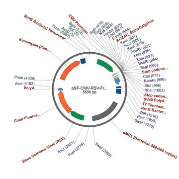 PSF-CMV-RSV-FRCFP - RSV PROMOTER CFP PLASMID plasmid vector for molecular cloning