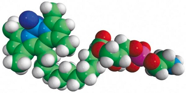 TopFluor&#8482; Lyso PE Avanti Research&#8482; - A Croda Brand 810285P, powder