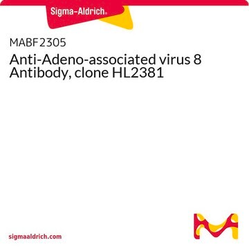 Anti-Adeno-associated virus 8 Antibody, clone HL2381