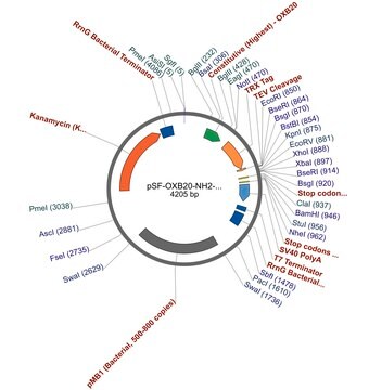 PSF-OXB20-NH2-TRX-TEV - N-TERMINAL TRX TAG BACTERIAL PLASMID plasmid vector for molecular cloning