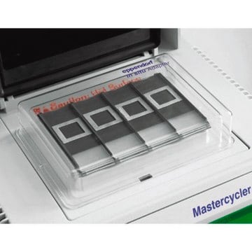 Eppendorf&#174; In Situ Adapter for Mastercycler gradient and Mastercycler