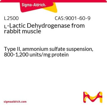 L-Milch-Dehydrogenase aus Kaninchenmuskel Type II, ammonium sulfate suspension, 800-1,200&#160;units/mg protein