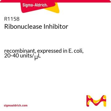 核糖核酸酶抑制因子 recombinant, expressed in E. coli, 20-40&#160;units/&#956;L