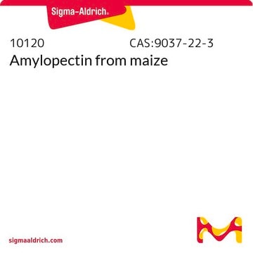 Amylopectin from maize