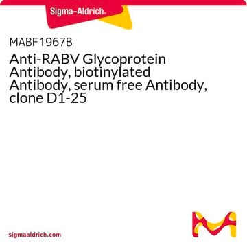 Anti-RABV Glycoprotein Antibody, biotinylated Antibody, serum free Antibody, clone D1-25