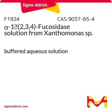 &#945;-1&#8594;(2,3,4)-Fucosidase solution from Xanthomonas sp. buffered aqueous solution