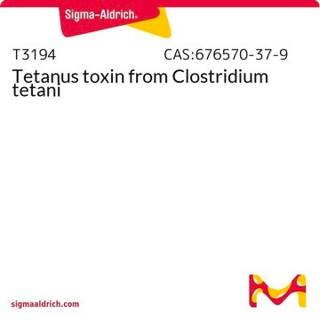 Toxine tétanique from Clostridium tetani