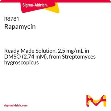 Rapamycine Ready Made Solution, 2.5&#160;mg/mL in DMSO (2.74 mM), from Streptomyces hygroscopicus