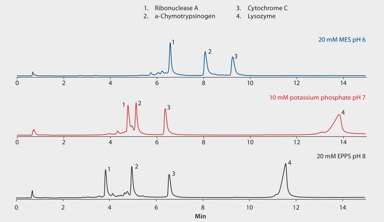 Hplc Analysis Of Proteins By Cation Exchange On Proteomix Wcx Np Affect Of Ph Application For