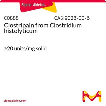 Clostripain from Clostridium histolyticum &#8805;20&#160;units/mg solid