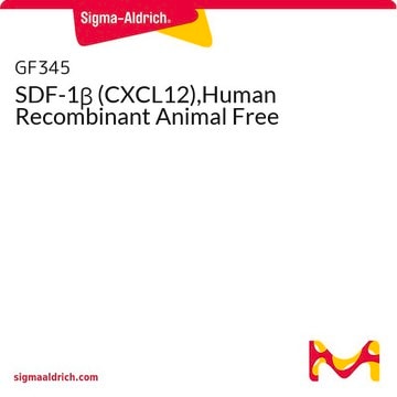 SDF-1&#946; (CXCL12),Human Recombinant Animal Free