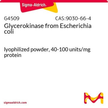 Glycerokinase from Escherichia coli lyophilized powder, 40-100&#160;units/mg protein