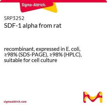 SDF-1 alpha from rat recombinant, expressed in E. coli, &#8805;98% (SDS-PAGE), &#8805;98% (HPLC), suitable for cell culture